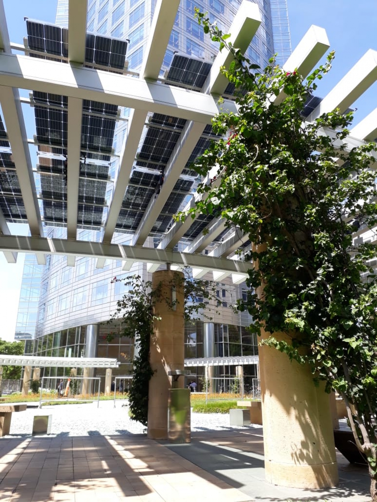 PÉRGOLA SOLAR PUERTO MADERO