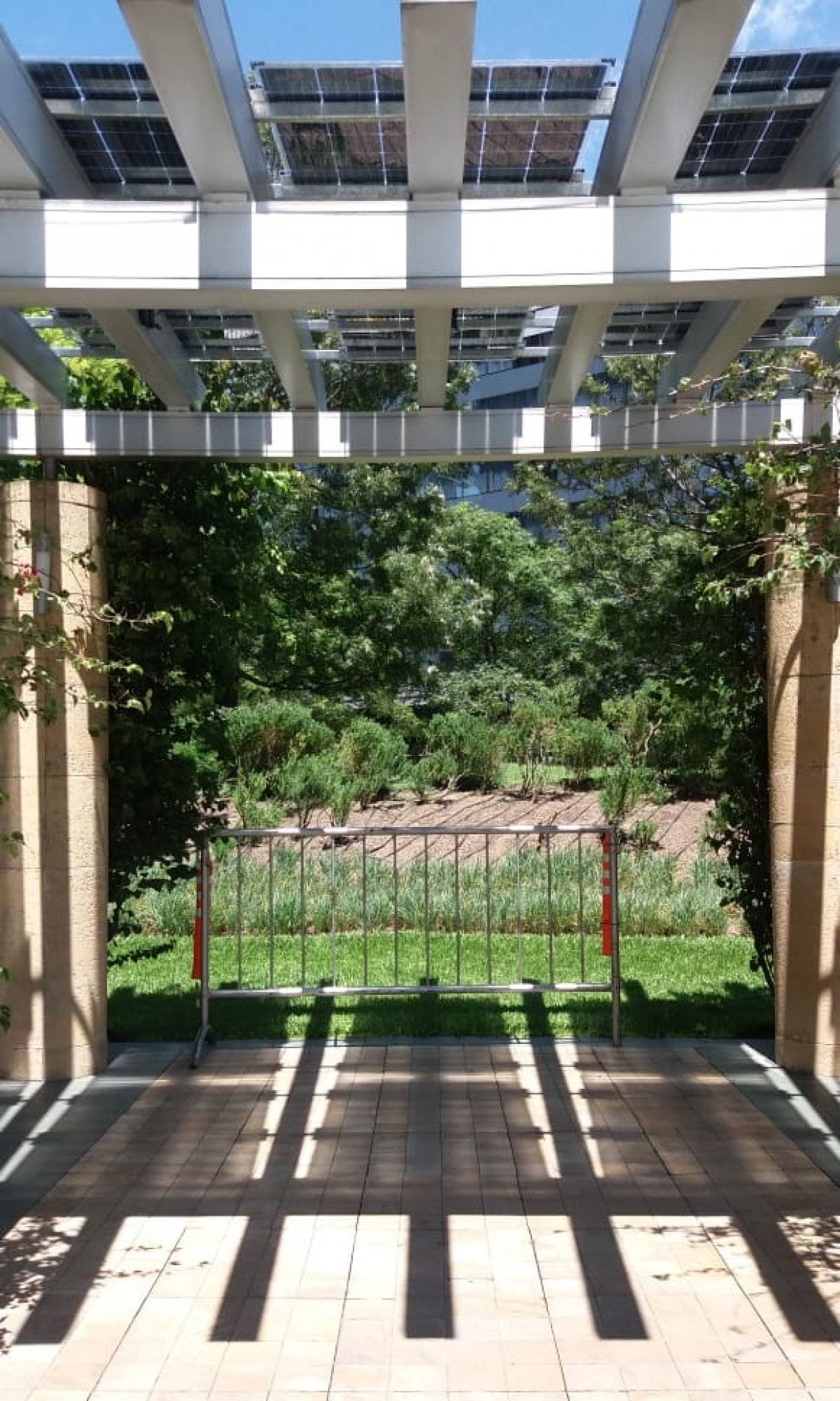 PÉRGOLA SOLAR PUERTO MADERO